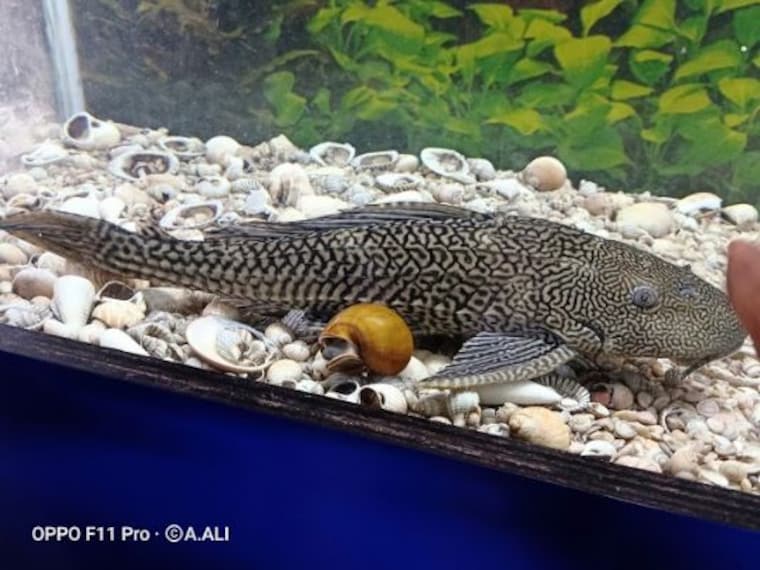 Digha Science Centre Park-5